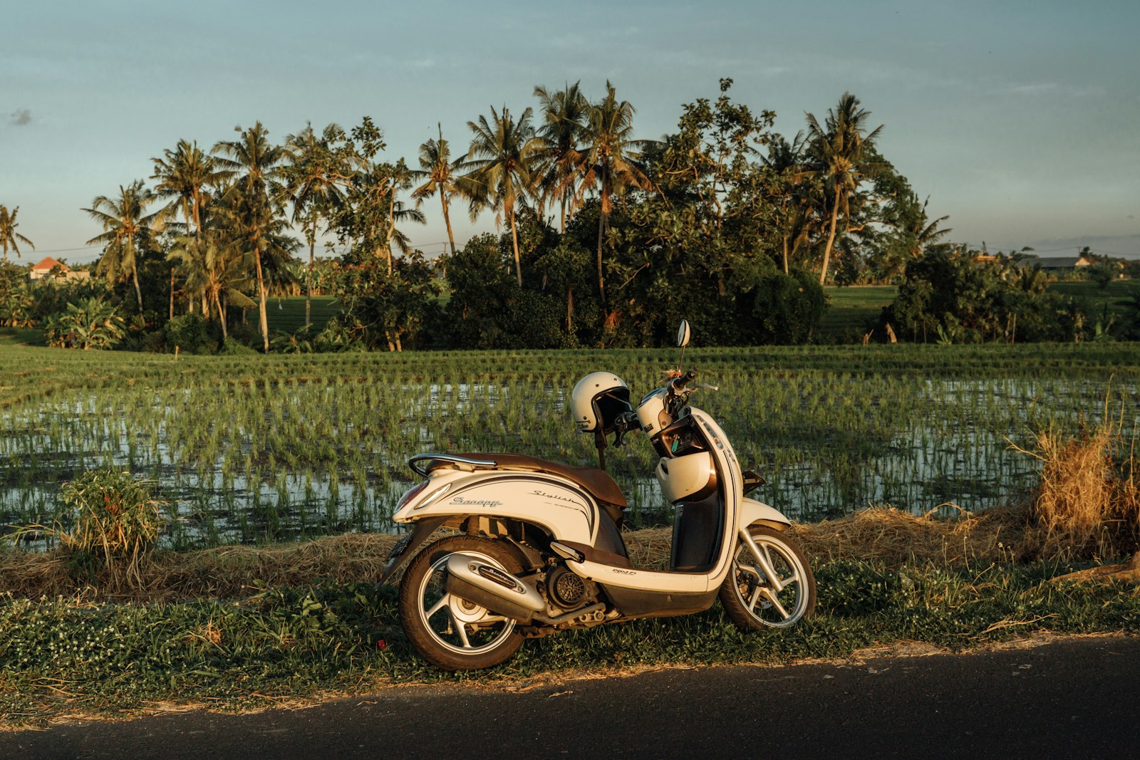 Getting Around Bali